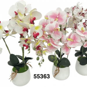 BONSAI ORQUIDEAS 60CM