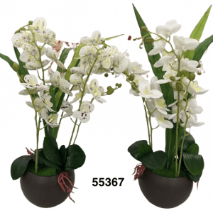 BONSAI ORQUIDEAS 45CM