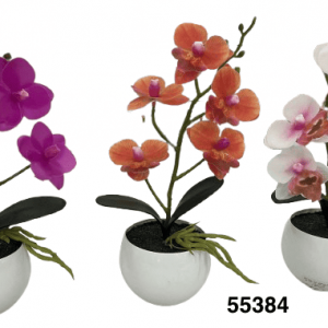 BONSAI ORQUIDEAS 26CM