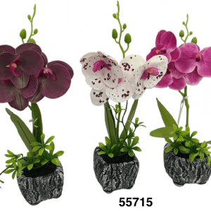 BONSAI ORQUIDEAS 28CM