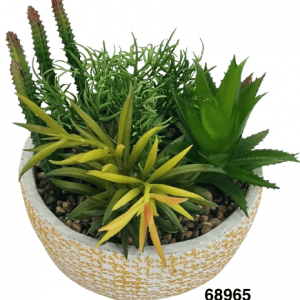 BONSAI CACTUS 18X19CM