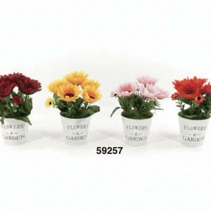 BONSAI GIRASOL 23CM