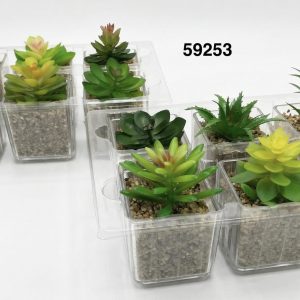 SUCULENTAS ARTIFICIAL 6X6X8CM