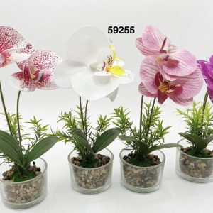 BONSAI ORQUIDEAS 26CM