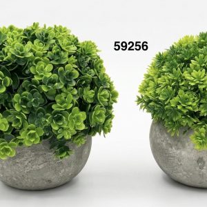 BONSAI VERDE 12CM