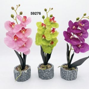 BONSAI ORQUIDEAS 44CM