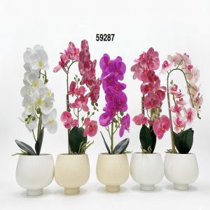 BONSAI ORQUIDEAS 40CM