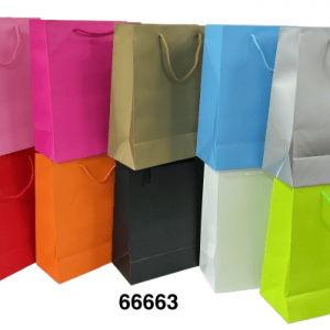 BOLSA DE REGALO LISA 26X32X12CM