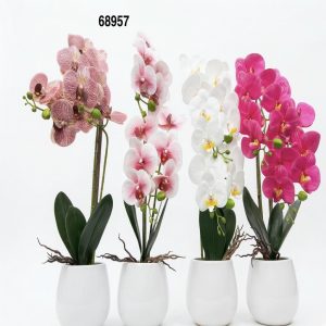 BONSAI ORQUIDEAS 12X60CM