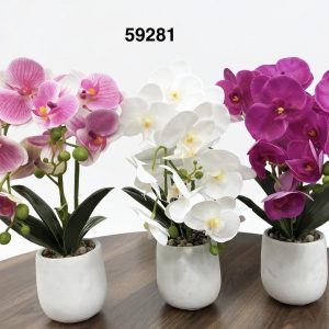 BONSAI ORQUIDEAS 40CM