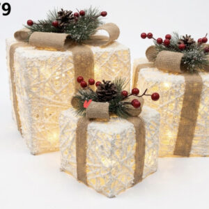 SET REGALOS NAVIDAD C/LUZ 15/20/25CM