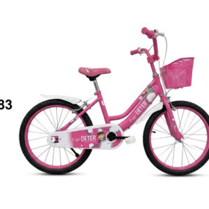 BICICLETA ARO 20 (NIÑA)